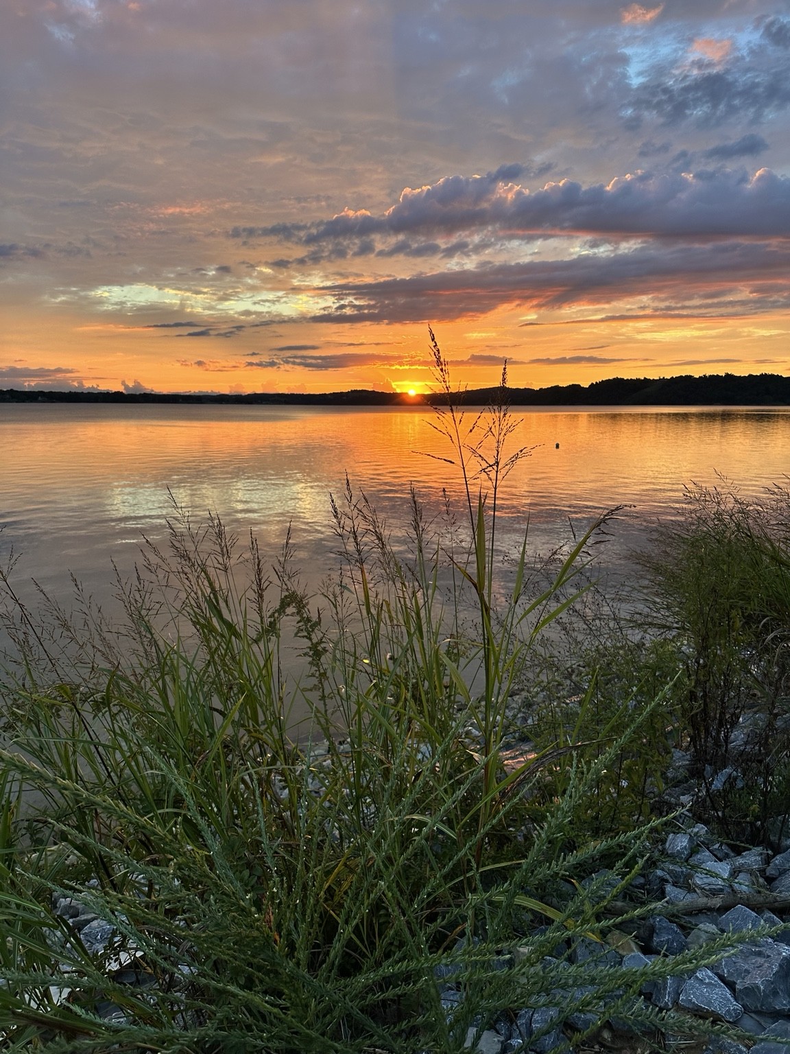 Golden sunset from the shoreline